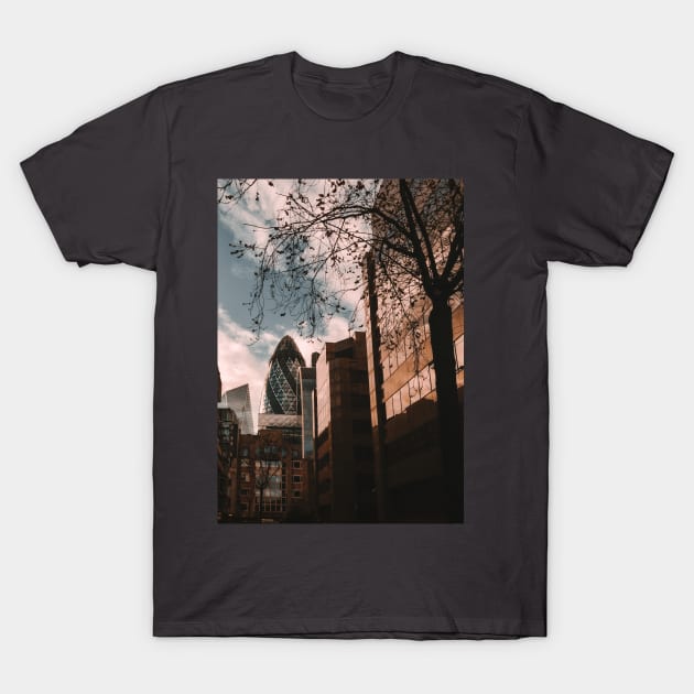 The Gherkin - London T-Shirt by Scala Ad Astra Forum